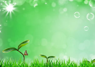綠色自然環(huán)保高清背景圖psd下載